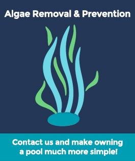 Algae Removal & Prevention Pool Equipment & Services | Stahlman Pool Company - Naples, Florida